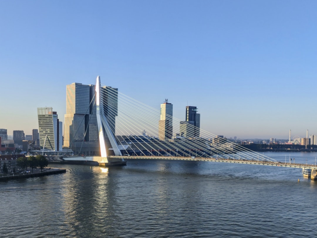 A view of a bridge over a body of water