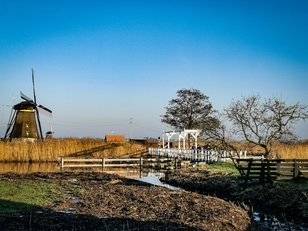 brown and black windmill photogrpah